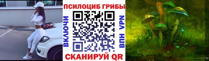 купить наркотики сайты  Гремячинск  блэк спрут ССЫЛКА  Псилоцибиновые грибы GOLDEN TEACHER 